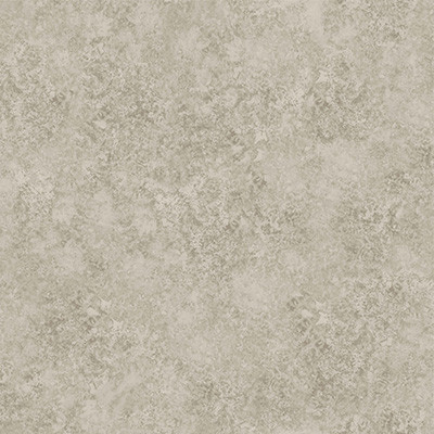 Cole & Son Wallcovering Patina Haze Warm Gilver