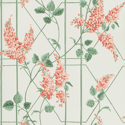 Cole & Son Wallcovering Wisteria Coral/Sage/Parch