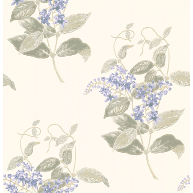 Cole & Son Wallcovering Madras Violet Violet & Grey Cole & Son Wallcovering Madras Violet Violet & Grey