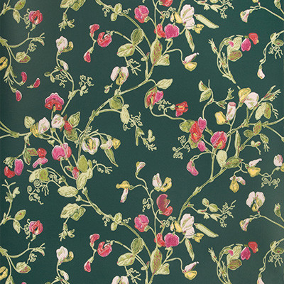 Cole & Son Wallcovering Sweet Pea Cerise/Magen/Vrdn