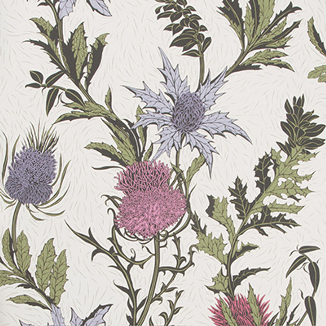 Cole & Son Wallcovering Thistle Lilac/Cerise/White