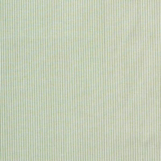 Lee Jofa Fabric Captiva Ticking Green
