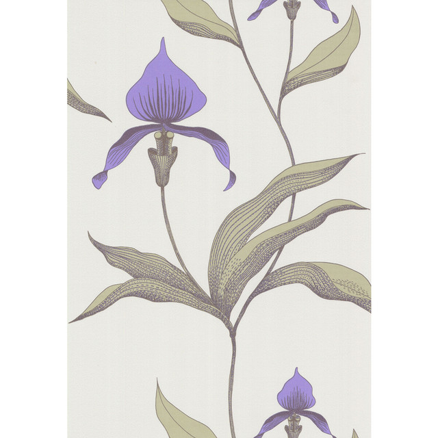 Cole & Son Wallcovering Orchid White/M COLE & SON NEW CONTEMPORARY PAPER - 100% United Kingdom - Horizontal: 0 and Vertical: 28.5 20.5 - My Fabric Connection -