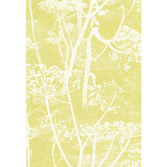 Cole & Son Wallcovering Cow Parsley White/Y COLE & SON NEW CONTEMPORARY PAPER - 100% United Kingdom - Horizontal: 21 and Vertical: 30 21 - My Fabric Connection -