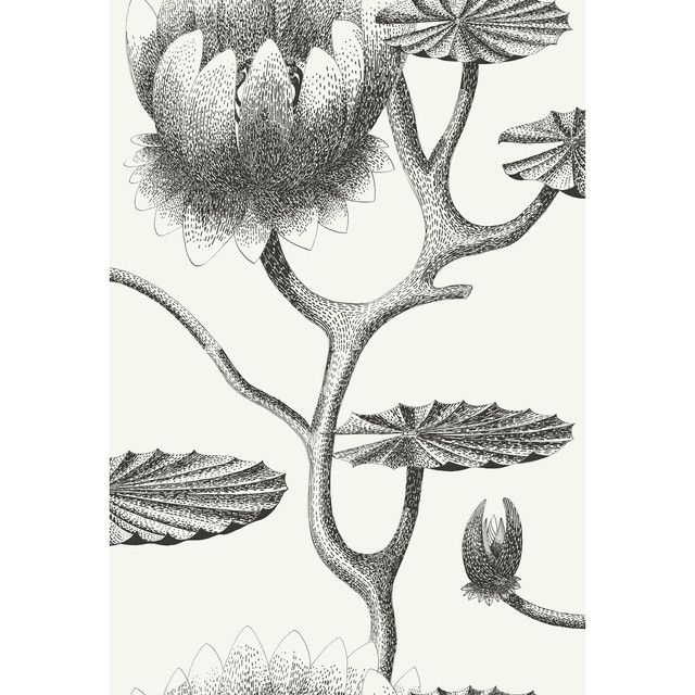 Cole & Son Wallcovering Lily Black/White CONTEMPORARY RESTYLED PAPER - 100% United Kingdom - Horizontal: 20.5 and Vertical: 30 20.5 - My Fabric Connection -