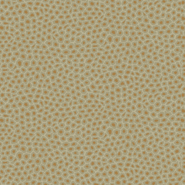 Cole & Son Wallcovering Senzo Spot Olive