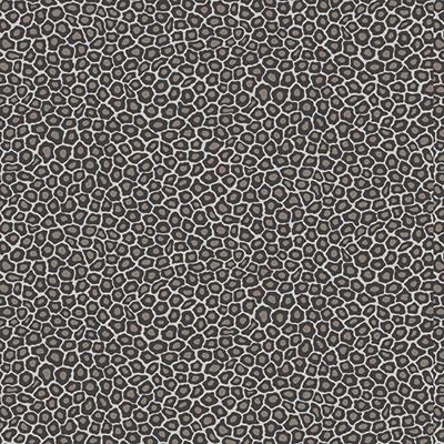 Cole & Son Wallcovering Senzo Spot Black & White