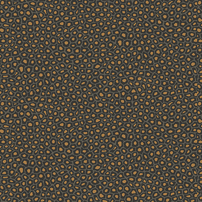 Cole & Son Wallcovering Senzo Spot Charcoal