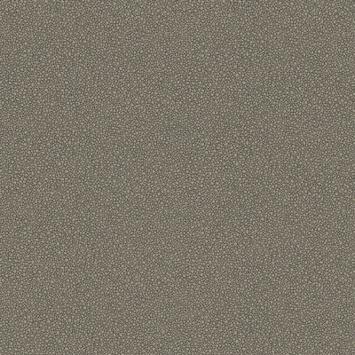 Cole & Son Wallcovering Goldstone Black & Silver