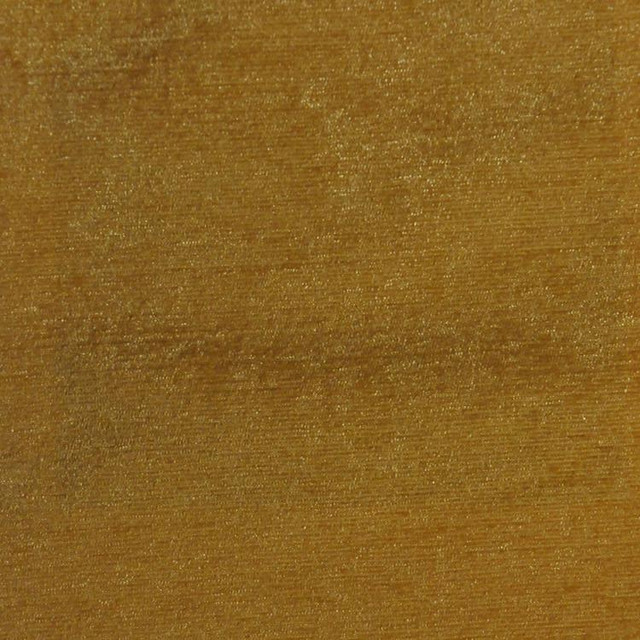 RM CoCo Fabric Plush Champagne Plush 100% Polyester Chenille - Dry clean only Horizontal: 0 and Vertical: 0 54 - My Fabric Connection -
