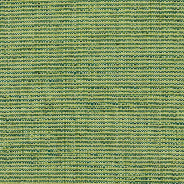 RM CoCo Fabric Bronco Citrus