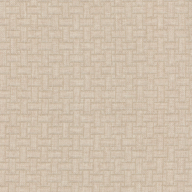 PKL Studio Fabric Line By Line Sahara 404250 TRUE TO THE PAST 80% Polyester 20% Polypropylene CHINA Wyzenbeek 51,000 Horizontal: 1.13" and Vertical: 1.13" 57" - My Fabric Connection -