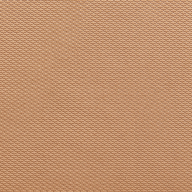 Charlotte Fabric 1341 Cashew Ring Book Page #29A 55% Cotton, 45% Polyester Taiwan Exceeds 50,000 Wyzenbeek Rubs (Heavy Duty) No Repeat 54 Inches - My Fabric Connection -