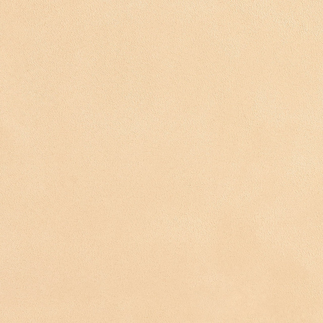 Charlotte Fabric 3073 Flax Microsuede, Ultimate Suede V 100% Woven Polyester Asia Exceeds 200,000 Wyzenbeek Rubs (Heavy Duty) No Repeat 54 Inches - My Fabric Connection -