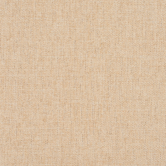 Charlotte Fabric 3683 Cream Ring Book Page #1 100% Woven Polyester Asia Exceeds 100,000 Wyzenbeek Rubs (Heavy Duty) No Repeat 54 Inches - My Fabric Connection -