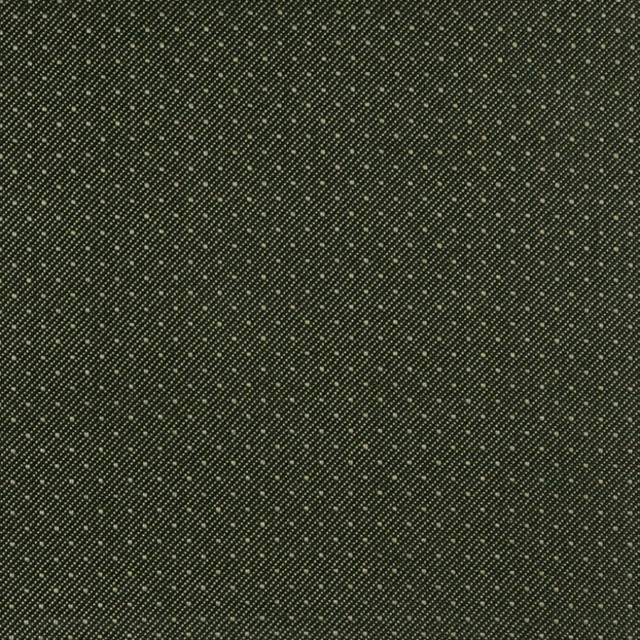 Charlotte Fabric 3806 Moss Decorative Durables XI 100% Olefin Made In USA Exceeds 150,000 Wyzenbeek Rubs (Heavy Duty) Horizontal: .5" x Vertical: .5" 54 Inches - My Fabric Connection -
