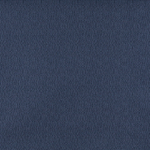 Charlotte Fabric 3824 Royal Decorative Durables XI 69% Olefin, 31% Polyester Made In USA Exceeds 150,000 Wyzenbeek Rubs (Heavy Duty) No Repeat 54 Inches - My Fabric Connection -