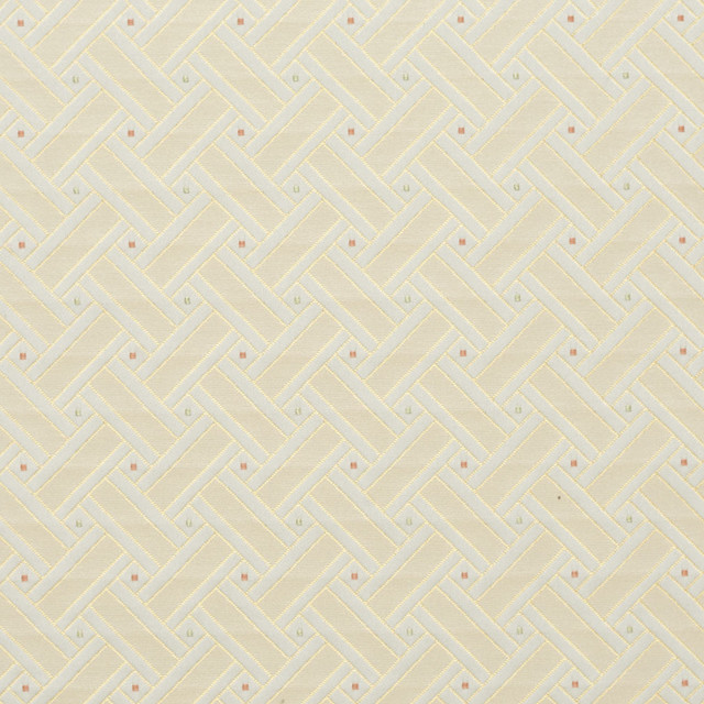 Charlotte Fabric 4135 Spring Lattice Timeless Treasures II 100% Woven Polyester Asia Exceeds 100,000 Wyzenbeek Rubs (Heavy Duty) Horizontal: 2" x Vertical: 2" 54 Inches - My Fabric Connection -