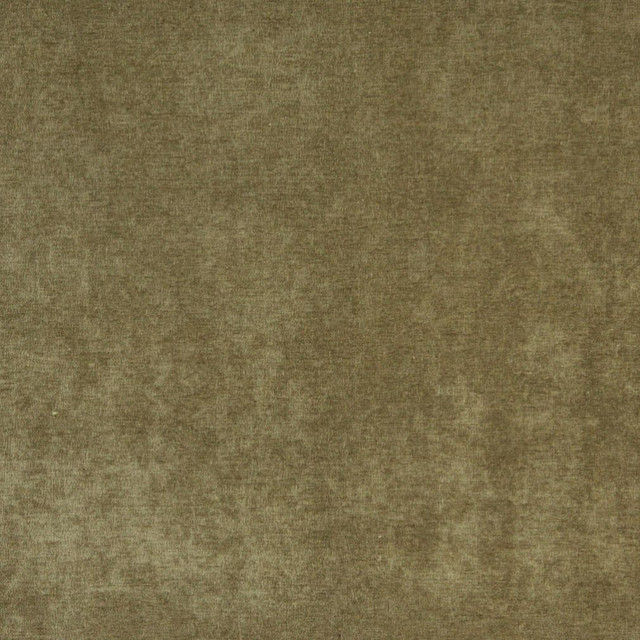 Charlotte Fabric 5151 Basil Ring Book Page #41 100% Woven Polyester Asia Exceeds 130,000 Wyzenbeek Rubs (Heavy Duty) No Repeat 54 Inches - My Fabric Connection -