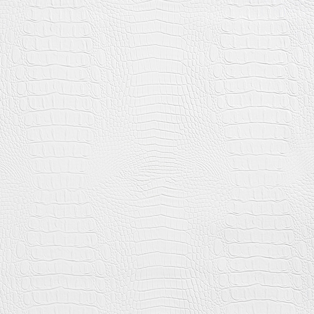 Charlotte Fabric 7278 White Exotics 100% Virgin Vinyl, 34oz. Asia Exceeds 200,000 Wyzenbeek Rubs (Heavy Duty) Horizontal: 10.5" x Vertical: 10.5" 54 Inches - My Fabric Connection -