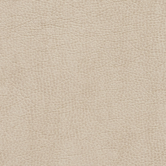 Charlotte Fabric 7426 Bone Breathables 100% Breathable Polyurethane, 26oz. Asia Exceeds 250,000 Wyzenbeek Rubs (Heavy Duty) No Repeat 54 Inches - My Fabric Connection -