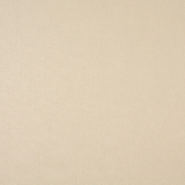 Charlotte Fabric 9458 Linen Cotton Duck, Definitely Durable Duck 100% Cotton, 12oz. Preshrunk Cotton Duck Made In USA Exceeds 60,000 Wyzenbeek Rubs (Heavy Duty) No Repeat 54 Inches - My Fabric Connection -