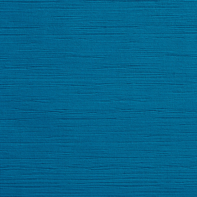 Charlotte Fabric 2190 Capri Tapestry Classics 100% Woven Polyester Velvet Asia Exceeds 192,000 Wyzenbeek Rubs (Heavy Duty) No Repeat 54 Inches - My Fabric Connection -