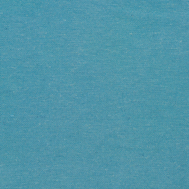 Charlotte Fabric 20900-08 Embroidered Linens 44% Rayon, 30% Polyester, 26% Linen Asia Exceeds 120,000 Wyzenbeek Rubs (Heavy Duty) No Repeat 54 Inches - My Fabric Connection -