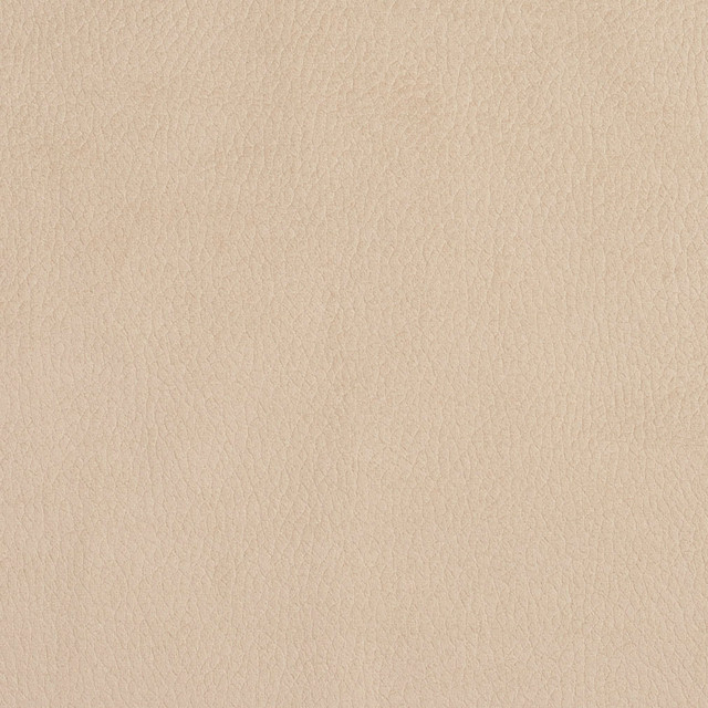 Charlotte Fabric 2926 Ecru Ring Book Page #4A 100% Woven Polyester Asia Exceeds 180,000 Wyzenbeek Rubs (Heavy Duty) No Repeat 54 Inches - My Fabric Connection -