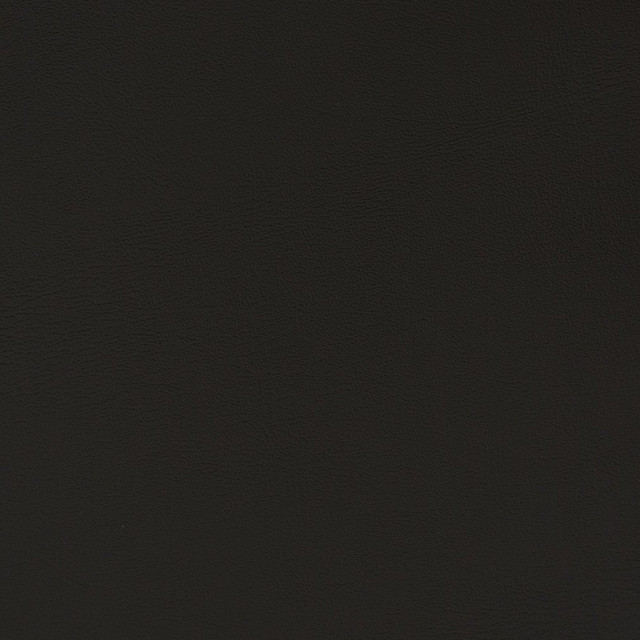 Charlotte Fabric V364 Raven Automotive Vinyl 100% Virgin Vinyl, 30oz. Asia Exceeds 220,000 Wyzenbeek Rubs (Heavy Duty) No Repeat 54 Inches - My Fabric Connection -