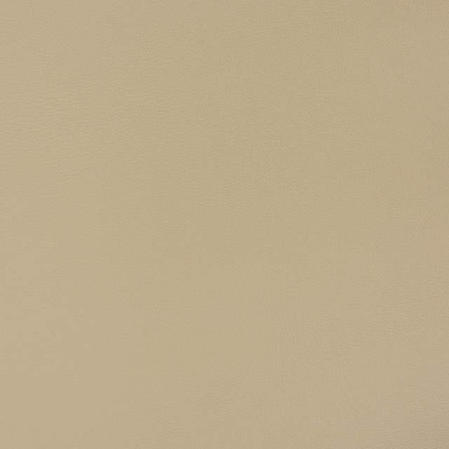 Charlotte Fabric V393 Taupe Automotive Vinyl 100% Virgin Vinyl, 30oz. Asia Exceeds 220,000 Wyzenbeek Rubs (Heavy Duty) No Repeat 54 Inches - My Fabric Connection -
