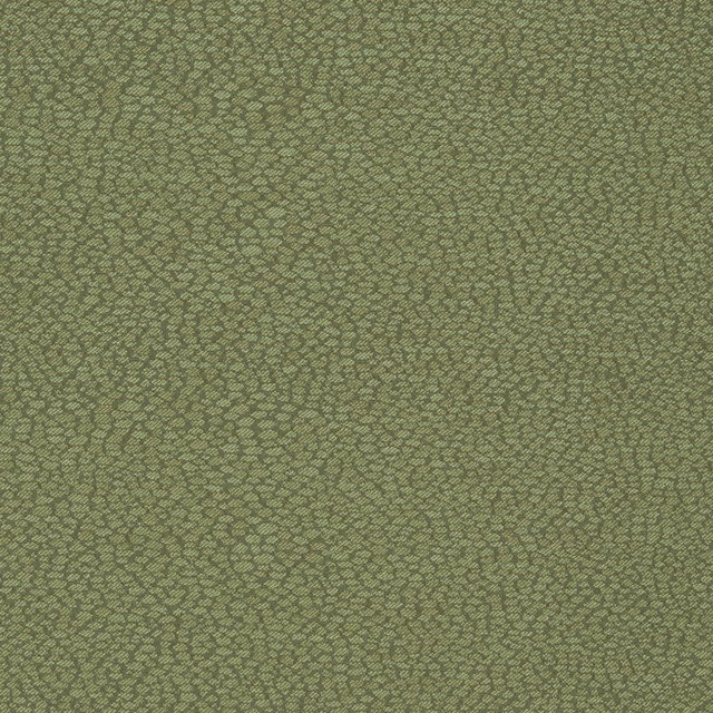 Charlotte Fabric D898 Pebble/Sage Durables III 100% Woven Polyester Made In USA Exceeds 100,000 Wyzenbeek Rubs (Heavy Duty) No Repeat 54 Inches - My Fabric Connection -