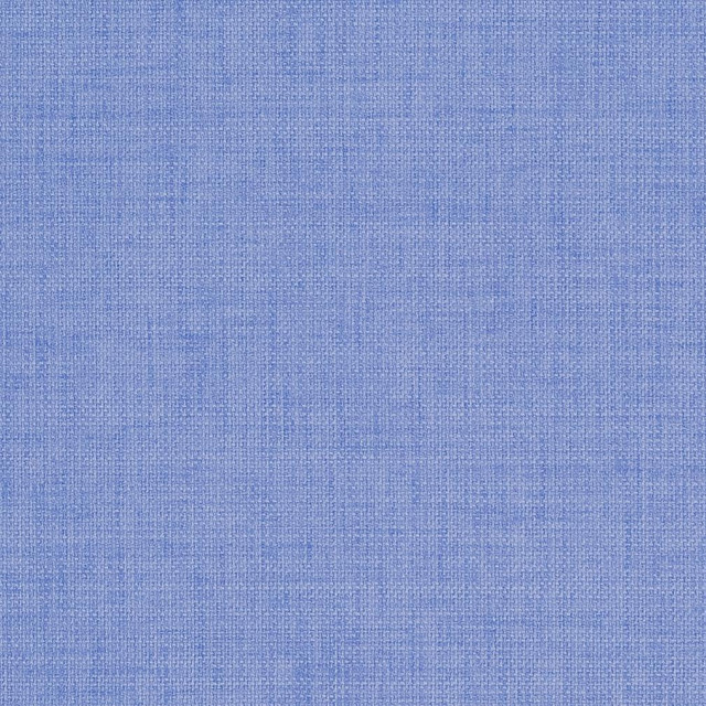 Charlotte Fabric D972 Sky Prints & Wovens 100% Solution Dyed Woven Acrylic Made In USA Exceeds 50,000 Wyzenbeek Rubs (Heavy Duty) No Repeat 54 Inches - My Fabric Connection -