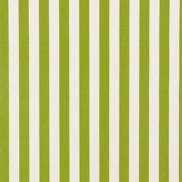 Schumacher Fabric Andy Stripe Green 71326 Essentials-Classic-Stripes 100% Cotton - Horizontal: 5.5 and Vertical: - 55 - My Fabric Connection -