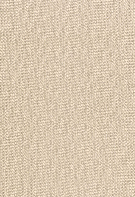 Schumacher Fabric Highline Flax 66971 Chroma 100% Polypropylene Martindale 25,000 Horizontal: - and Vertical: - 55 - My Fabric Connection -
