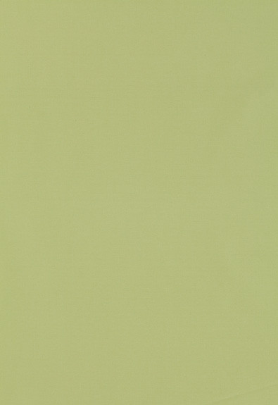 Schumacher Fabric Giordano Taffeta Mint Julep 63971 Mirage 100% Polyester Wyzenbeek 30,000 Horizontal: - and Vertical: - 54 - My Fabric Connection -