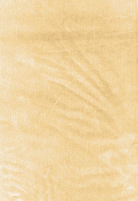 Schumacher Fabric Venetian Silk Velvet Champagne 62730 Perfect-Basics-Venetian-Silk-Velvet 51% Silk, 49% Cotton Martindale 20,000 Horizontal: - and Vertical: - 55 - My Fabric Connection -