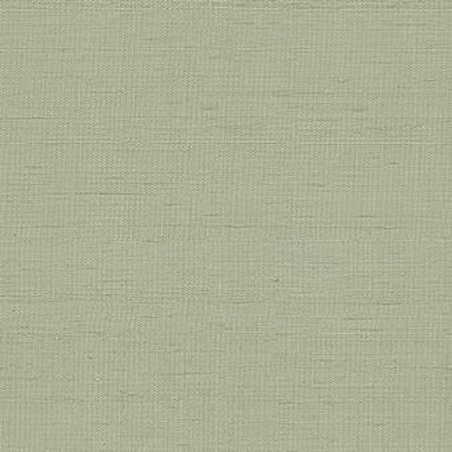 Schumacher Fabric Indochine Stone 3123011 - 100% Silk Wyzenbeek 3,000 Horizontal: - and Vertical: - 54 - My Fabric Connection -
