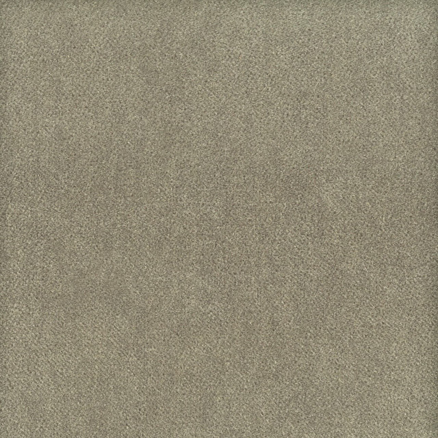 Stout Fabric Moore 34 Nickel Timeless Velvets 82% Polyester 18% Cotton SOUTH KOREA FLAME RETARDANT-U.F.A.C. CLASS 1 (OR A) CATB 117-2013 WYZENBEEK 20 000 DOUBLE RUB WEAR TEST (HEAVY DUTY) Horizontal: 0 and Vertical: 0 54.75 in - My Fabric Connection -