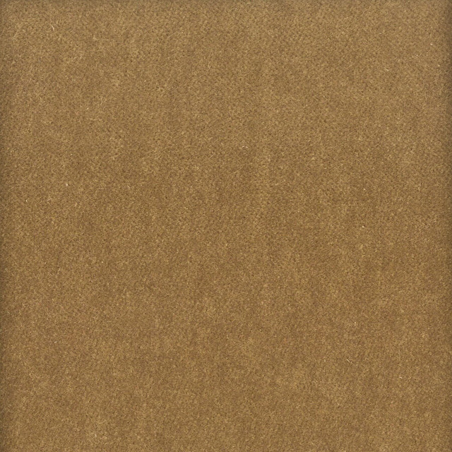 Stout Fabric Moore 37 Sandstone Timeless Velvets 82% Polyester 18% Cotton SOUTH KOREA FLAME RETARDANT-U.F.A.C. CLASS 1 (OR A) CATB 117-2013 WYZENBEEK 20 000 DOUBLE RUB WEAR TEST (HEAVY DUTY) Horizontal: 0 and Vertical: 0 54.75 in - My Fabric Connection -