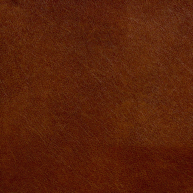 Stout Fabric Turco 9 Brandy Recycled Leather 100% Other 4% Other CHINA FLAME RETARDANT-CA BULLETIN 117-SECTION E FLAME RETARDANT-U.F.A.C. CLASS 1 (OR A) FLAME RETARDANT-N.F.P.A. 260A CLASS 1 WYZENBEEK 100 000 DOUBLE RUB WEAR TEST (HEAVY DUTY) PERFORMANCE RATED FABRIC Horizontal: 0 and Vertical: 0 54 in - My Fabric Connection -