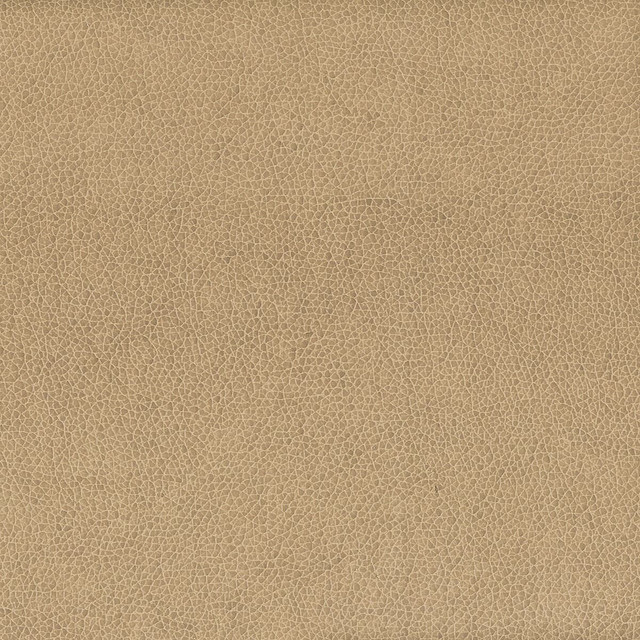 Stout Fabric Wilkinson 4 Fawn On The Go 100% Polyurethane 1% Other CHINA FLAME RETARDANT-CA BULLETIN 117-SECTION E FLAME RETARDANT-U.F.A.C. CLASS 1 (OR A) FLAME RETARDANT-N.F.P.A. 260A CLASS 1 WYZENBEEK 500 000 DOUBLE RUB WEAR TEST(EXTREMELY HEAVY DUTY) FLAME RETARDANT-FMVSS 302 Horizontal: 0 and Vertical: 0 54 in - My Fabric Connection -
