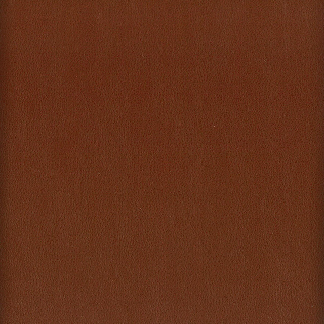 Stout Fabric Elbert 10 Nutmeg Leather Looks Iii Performance 70% Polyvinylchloride 25% Polyester 5% Polyurethane CHINA PERFORMANCE RATED FABRIC CATB 117-2013 WYZENBEEK 80 000 DOUBLE RUB WEAR TEST (HEAVY DUTY) Horizontal: 0 and Vertical: 0 54 in - My Fabric Connection -
