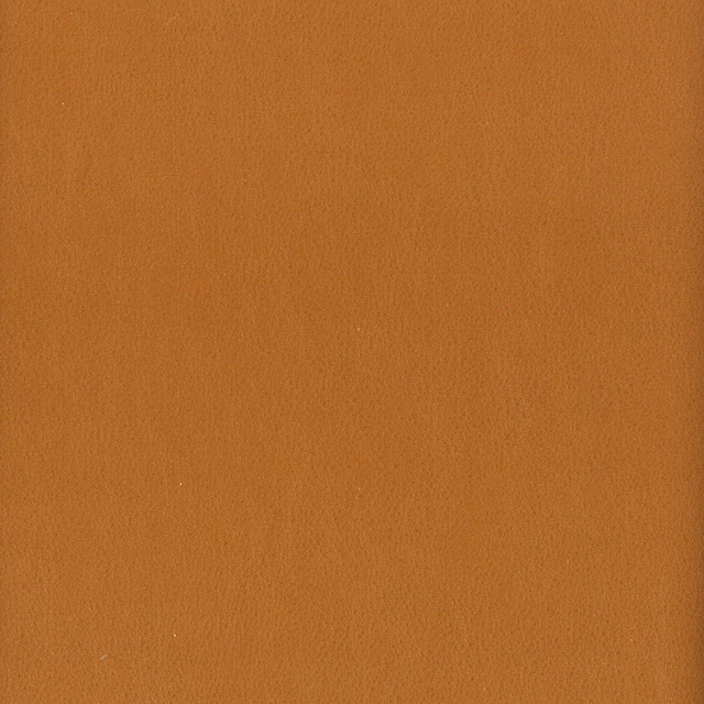 Stout Fabric Elbert 8 Cashew Leather Looks Iii Performance 70% Polyvinylchloride 25% Polyester 5% Polyurethane CHINA PERFORMANCE RATED FABRIC CATB 117-2013 WYZENBEEK 80 000 DOUBLE RUB WEAR TEST (HEAVY DUTY) Horizontal: 0 and Vertical: 0 54 in - My Fabric Connection - Stout Fabric Elbert 8 Cashew Leather Looks Iii Performance 70% Polyvinylchloride 25% Polyester 5% Polyurethane CHINA PERFORMANCE RATED FABRIC CATB 117-2013 WYZENBEEK 80 000 DOUBLE RUB WEAR TEST (HEAVY DUTY) Horizontal: 0 and Vertical: 0 54 in - My Fabric Connection -
