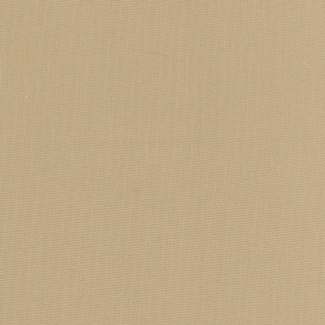 Carole Fabric Daydreamer Khaki Daydreamer III 100% Cotton, Soil & Stain Release TURKMENISTAN Passes 30,000 Double Rubs Wyzenbeek Horizontal: 0" and Vertical: 0" 54" - My Fabric Connection -