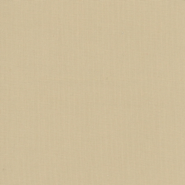 Carole Fabric Daydreamer Sandstone Daydreamer III 100% Cotton, Soil & Stain Release TURKMENISTAN Passes 30,000 Double Rubs Wyzenbeek Horizontal: 0" and Vertical: 0" 54" - My Fabric Connection -