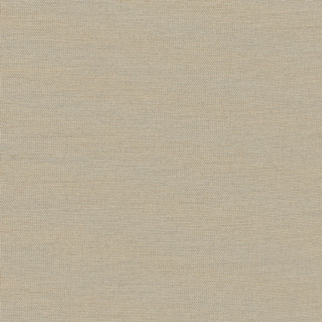 Carole Fabric Succulent Birch Succulent,Succulent II 100% POLYESTER INDIA N/A Horizontal: 0" and Vertical: 0" 54" - My Fabric Connection -