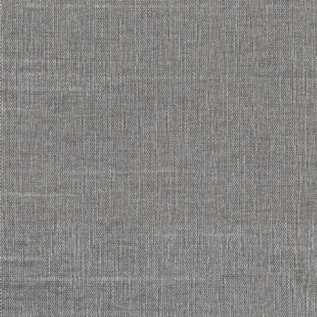 Carole Fabric Succulent Seal Succulent,Succulent II 100% POLYESTER INDIA N/A Horizontal: 0" and Vertical: 0" 54" - My Fabric Connection -