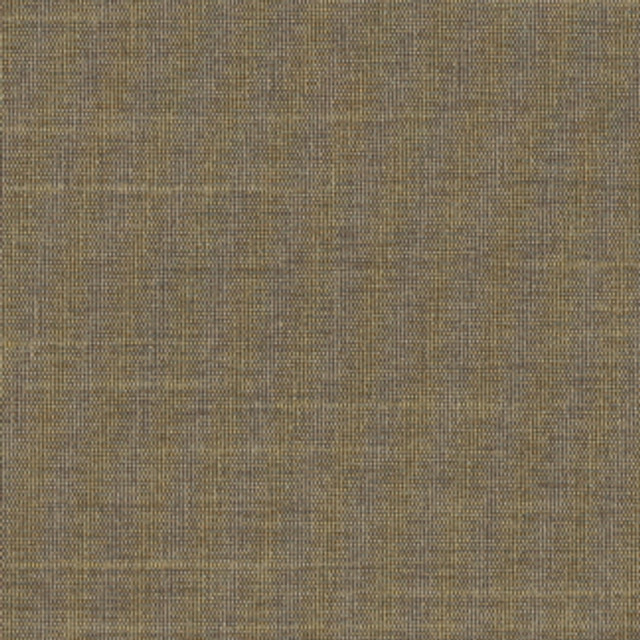 Carole Fabric Succulent Taupe Succulent,Succulent II 100% POLYESTER INDIA N/A Horizontal: 0" and Vertical: 0" 54" - My Fabric Connection -