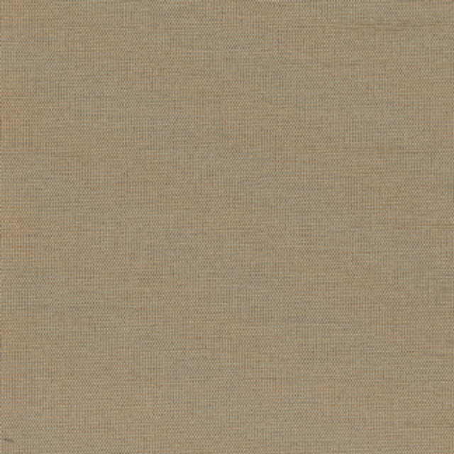 Carole Fabric Succulent Truffle Succulent,Succulent II 100% POLYESTER INDIA N/A Horizontal: 0" and Vertical: 0" 54" - My Fabric Connection -